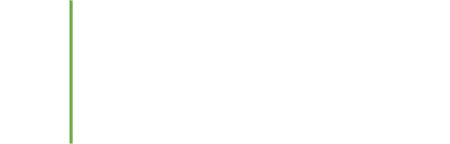 LT Investment Services